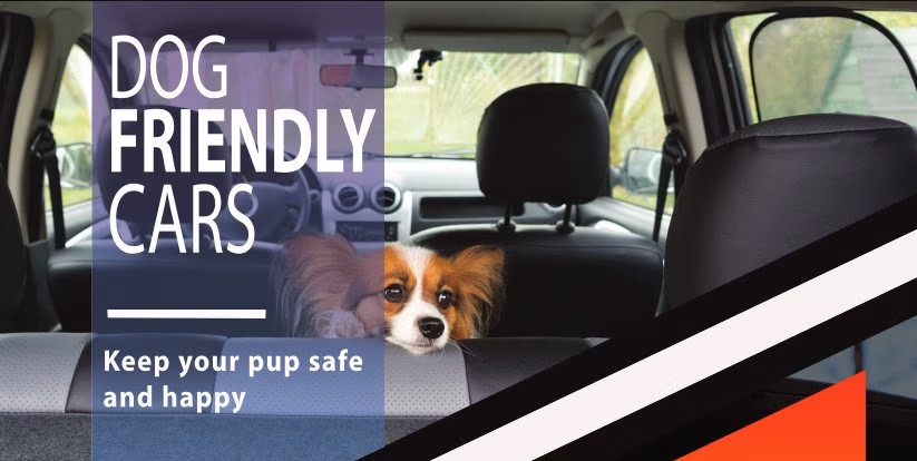 Interior of a dog-friendly car showing durable seat covers and secured pet harness