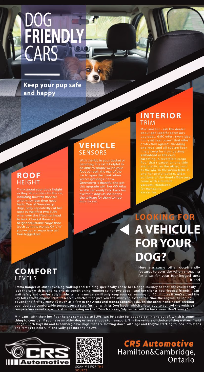 Dog-friendly car features for pet travel advice from CRS Automotive in Hamilton