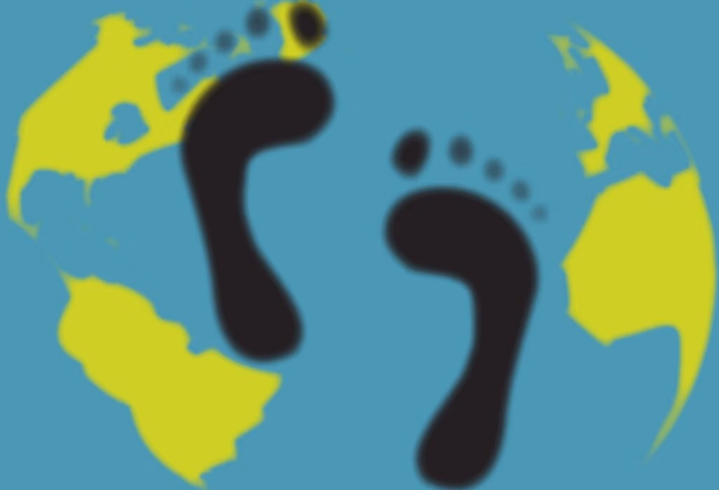 carbon footprint
