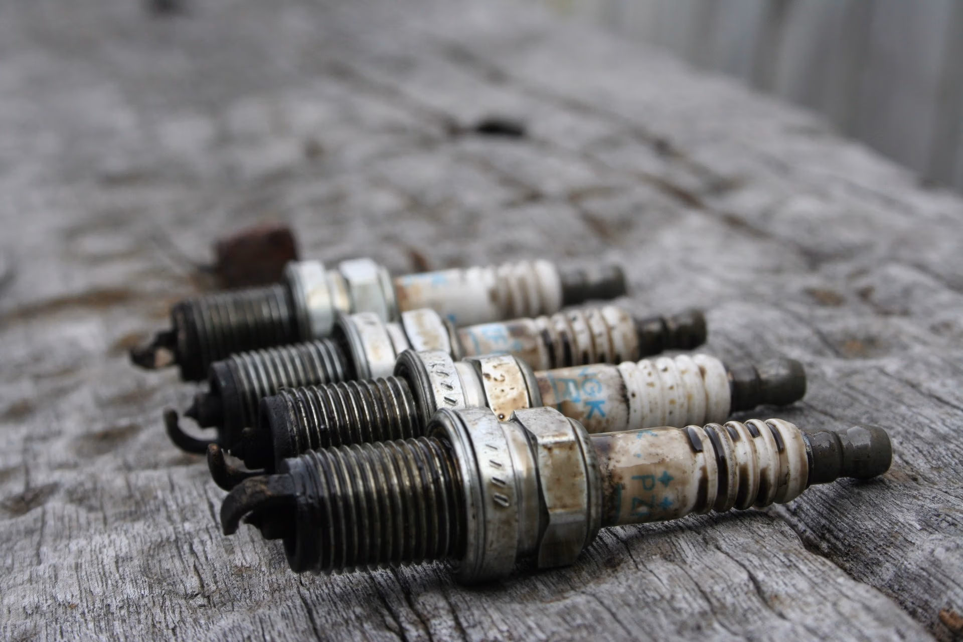 Mechanic inspecting spark plug during vehicle service in Hamilton